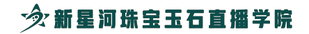 镇平县新星河职业技能培训学校有限公司